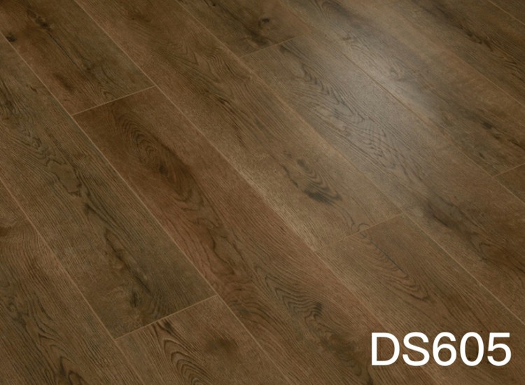 DS605